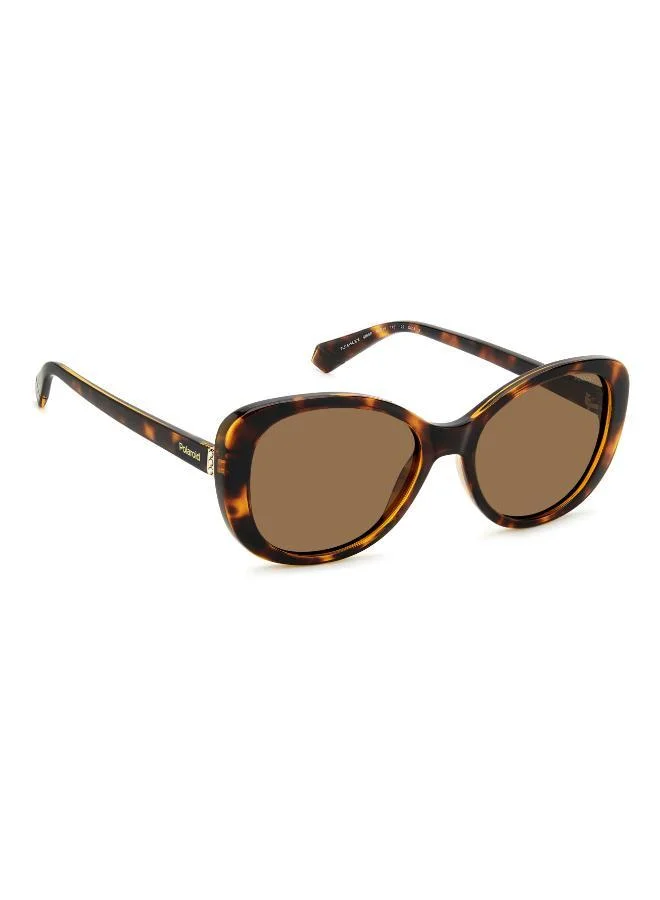 Polaroid Rectangular Sunglasses Frames